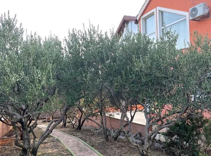 펜션 Kuca Za Odmor Alfis - *