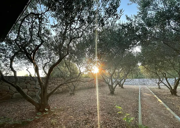 Kuca Za Odmor Alfis - *