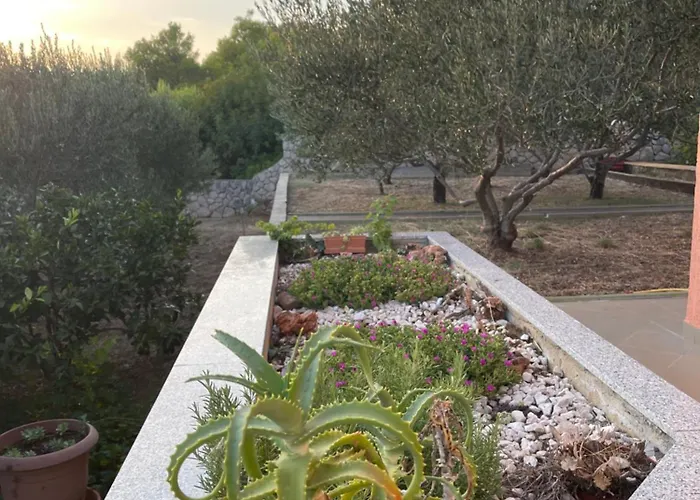 Kuca Za Odmor Alfis - * 제제라